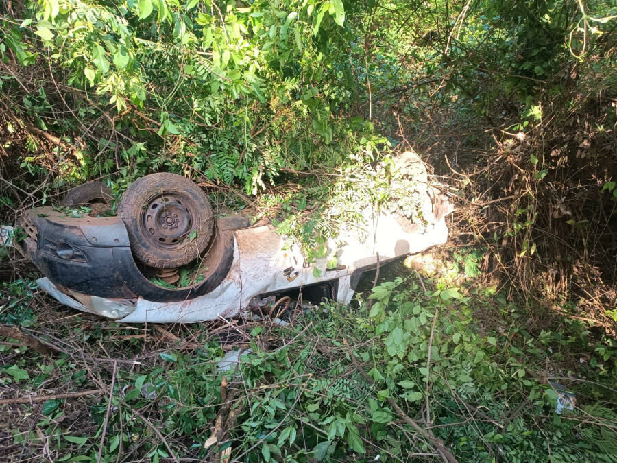 Imagem de compartilhamento para o artigo Motorista capota pick-up após desviar de capivaras na BR-060, perto de Paraíso das Águas da MS Todo dia